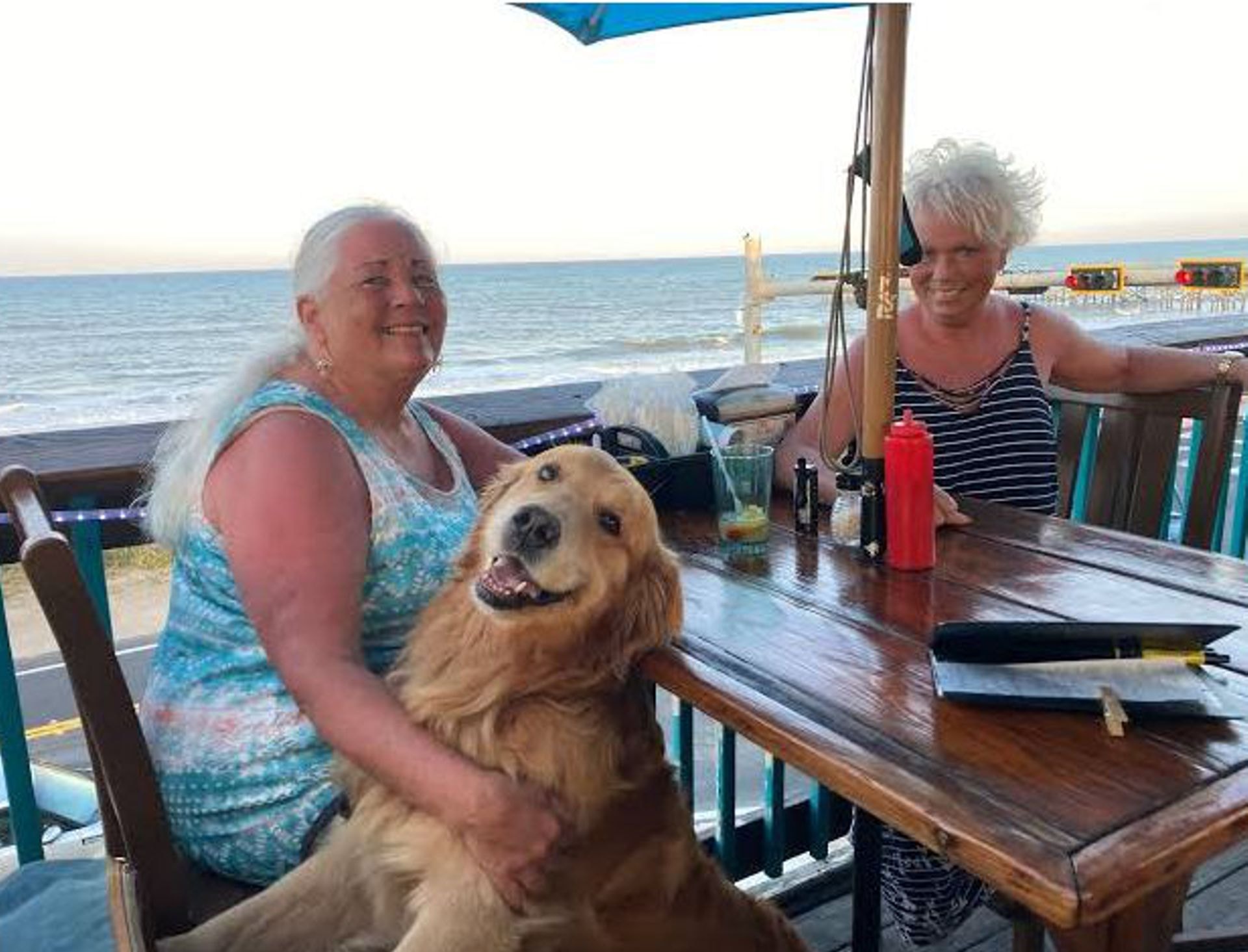 Dog-Friendly Restaurants Near Palm Coast & Flagler Beach