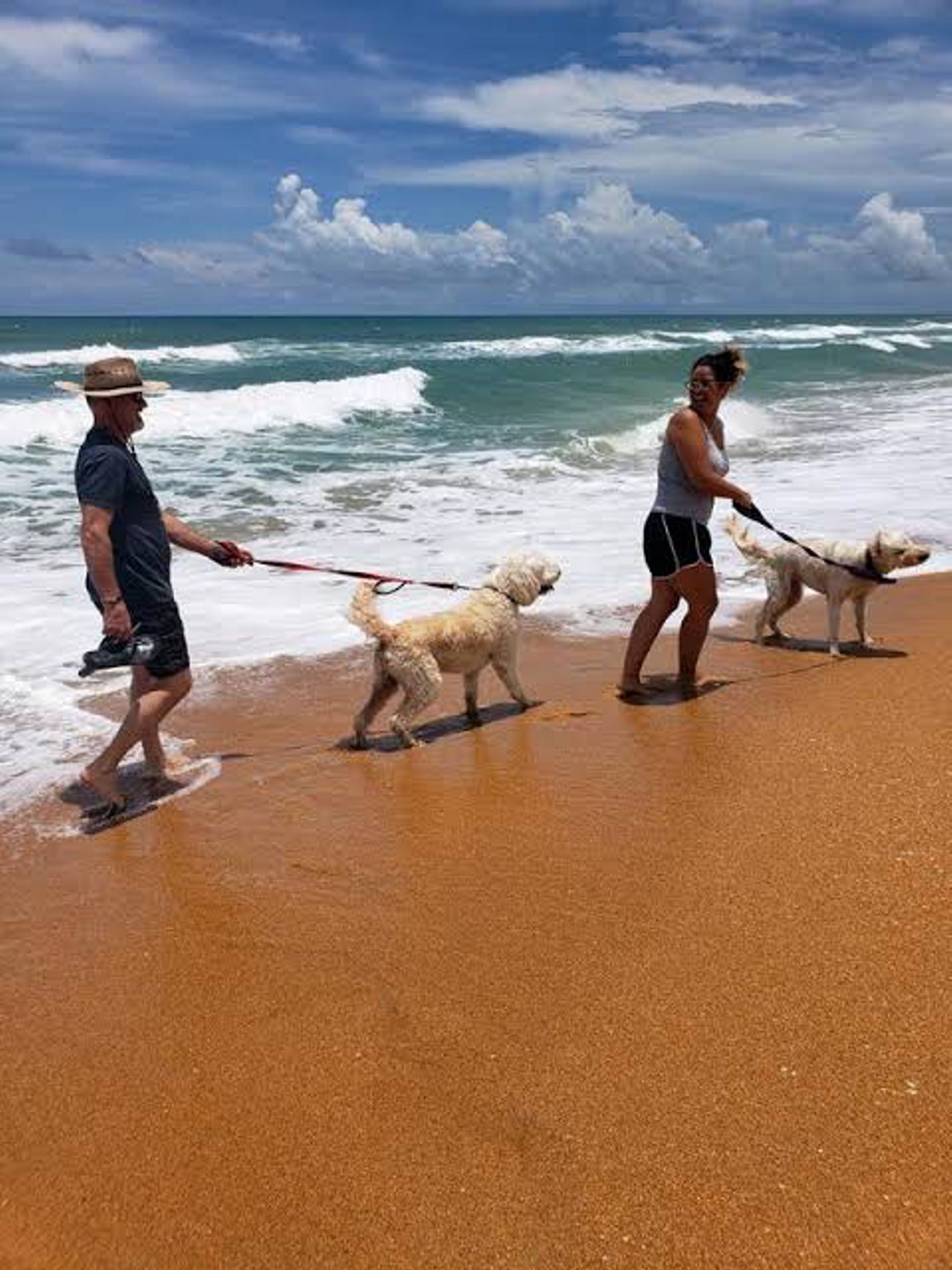 Guests walking two dogs along the shoreline at Flagler Beach, Florida